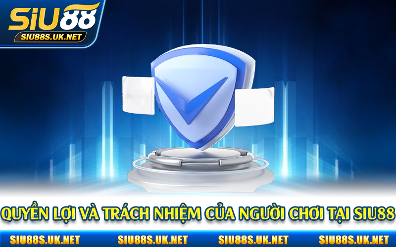 Quyền lợi và trách nhiệm của người chơi tại Siu88